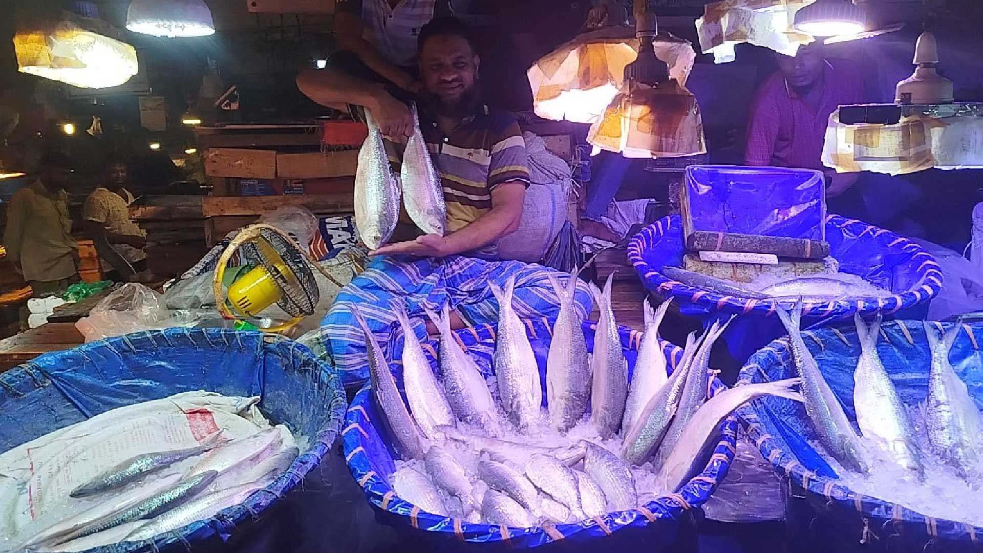 বাজারে বড় ইলিশের সরবরাহ কম, দামও চড়া