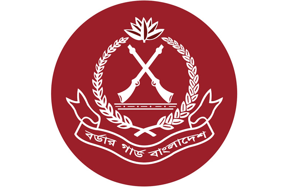 বজ্রপাতে সীমান্তে টহলরত বিজিবি সদস্যের মৃত্যু, আহত ৪