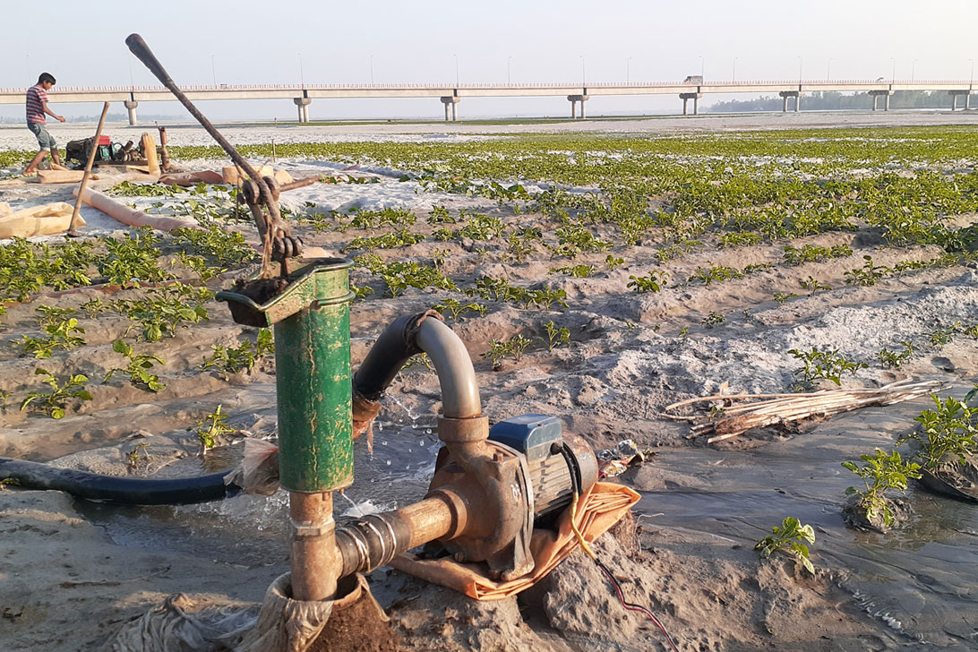 তিস্তার বুকে শ্যালো বসিয়ে চাষাবাদ