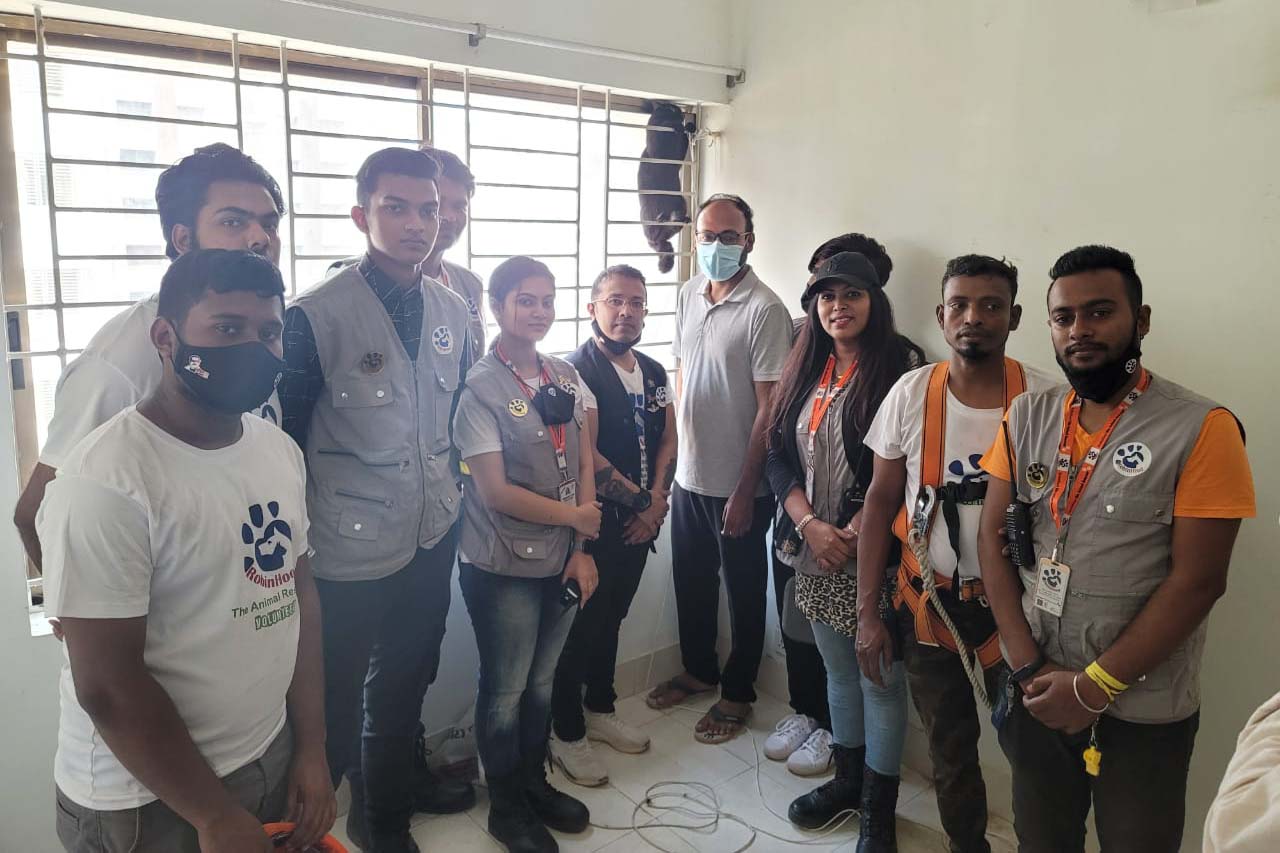 রবিনহুড বাহিনীর বিড়াল উদ্ধারে ড্রোন অভিযান