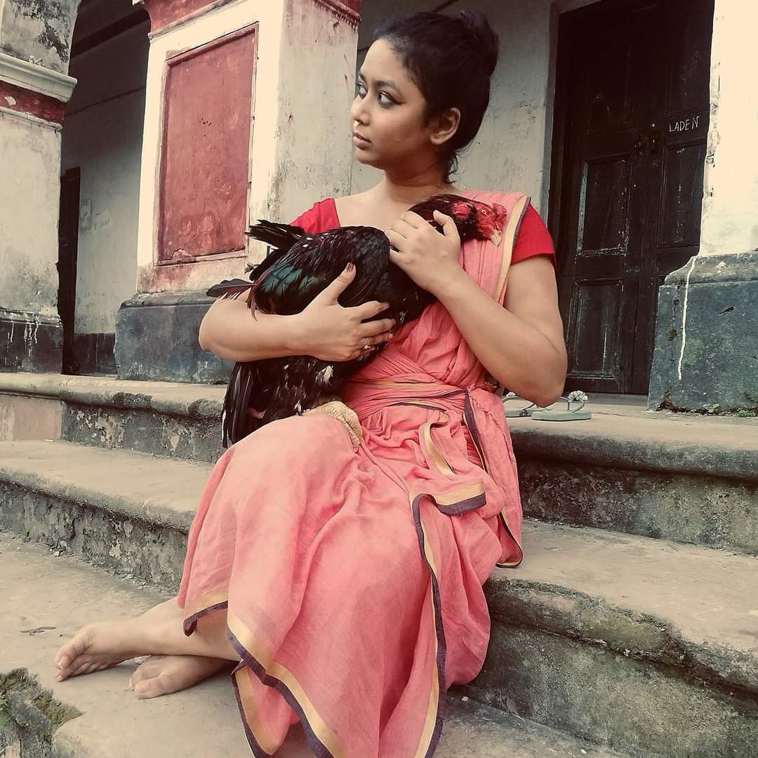 লাল মোরগের ঝুঁটি: একাত্তরের শ্বাসরুদ্ধকর ৪ মাস