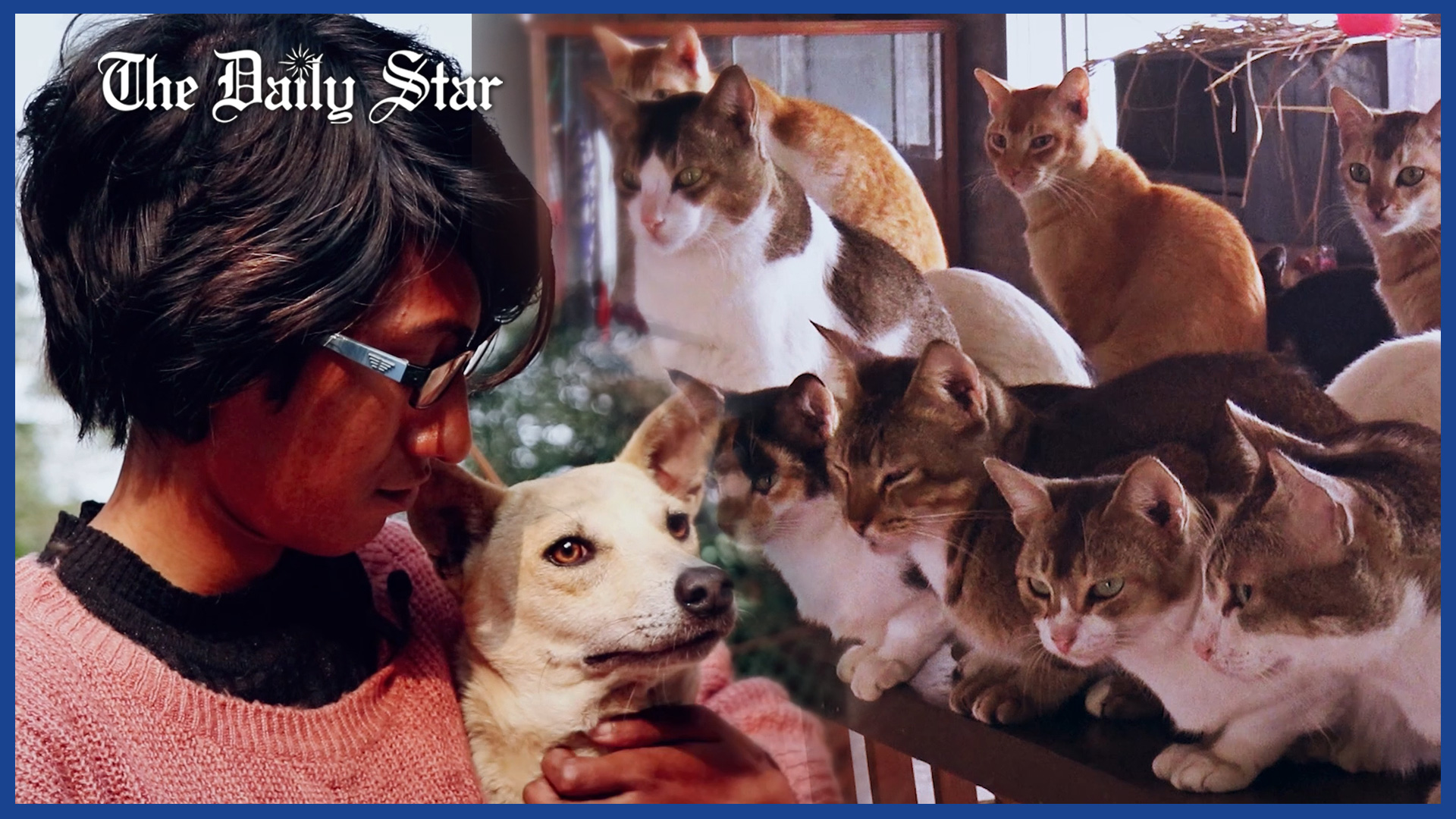 যে বাড়ি কুকুর-বিড়ালের অভয়াশ্রম!