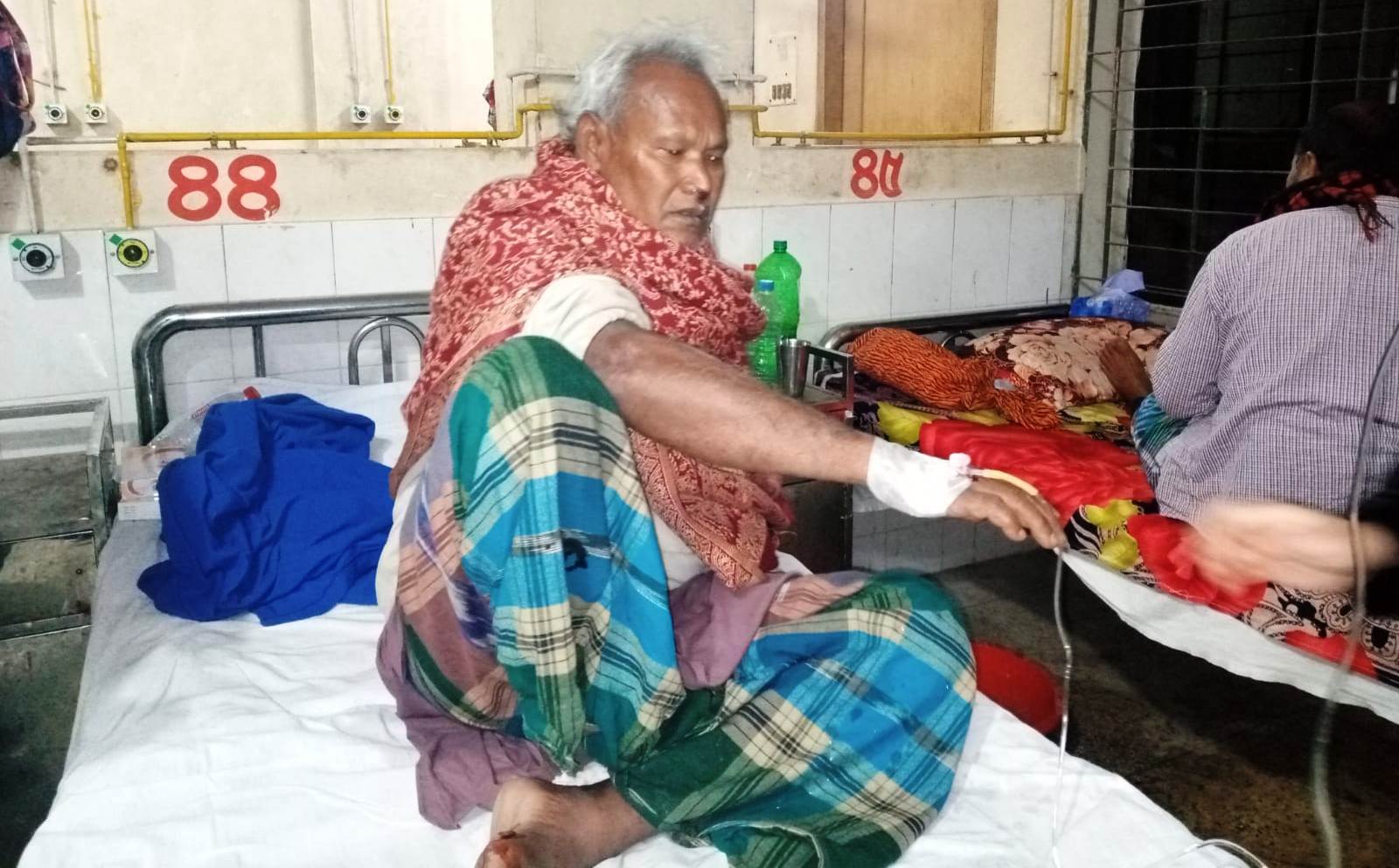 লালমনিরহাটে শিয়ালের কামড়ে বনরক্ষীসহ ৯ জন আহত