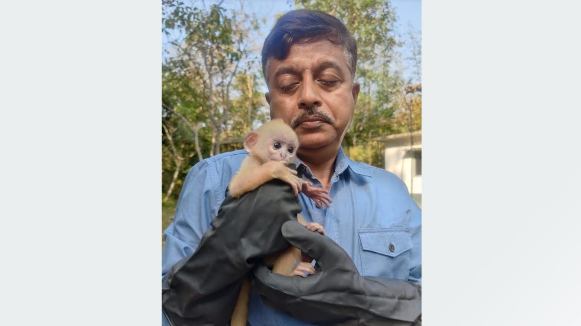 মা হারানো হনুমান শাবকটির চোখে অনবরত অশ্রু ঝরছে