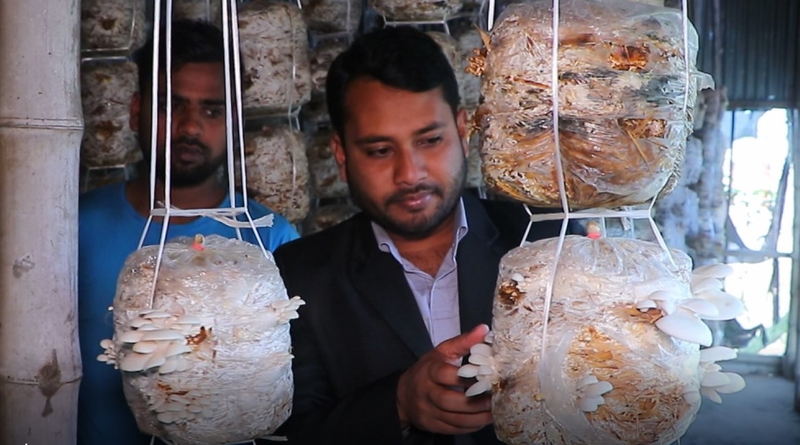 করোনায় বেকার হালিমকে পথ দেখালো মাশরুম