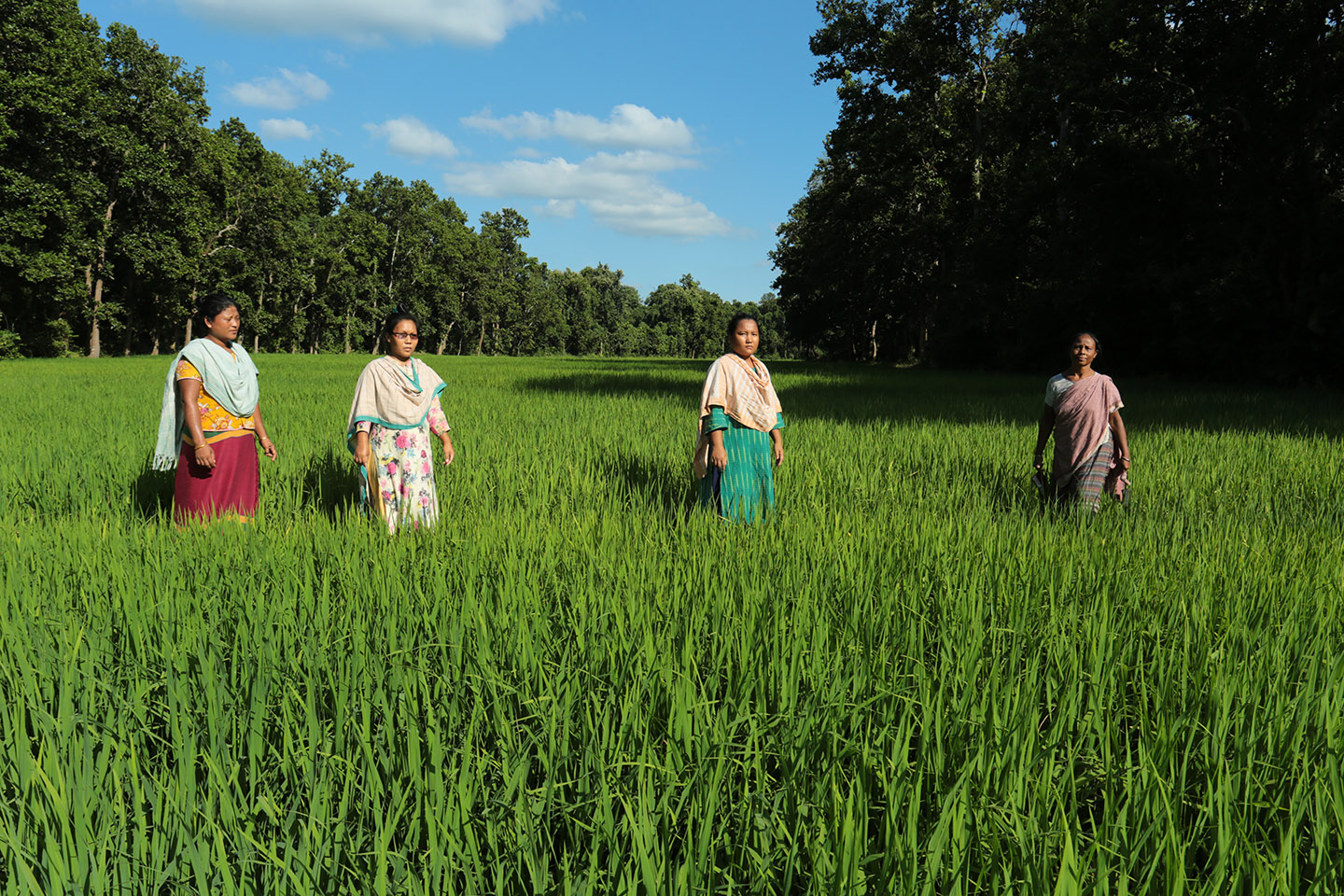 মধুপুর বনে কেন কৃত্রিম হ্রদ?