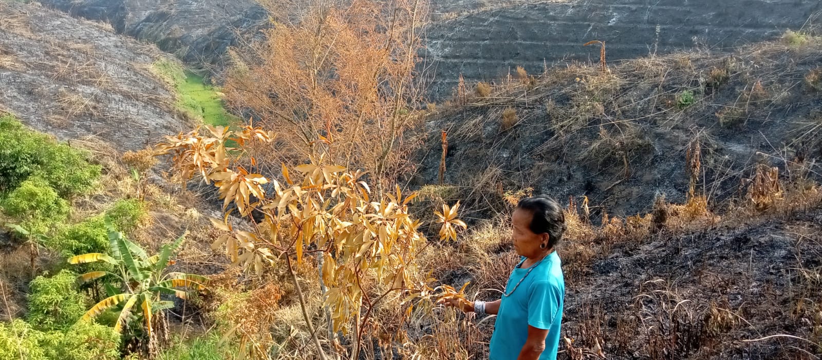 লামায় পাহাড়িদের উচ্ছেদে তৎপর রাবার কোম্পানি, ৩৬ নাগরিকের উদ্বেগ