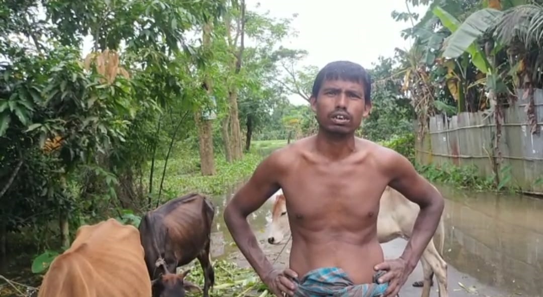 গরুগুলোকে কীভাবে বাঁচাবেন সনৎ?