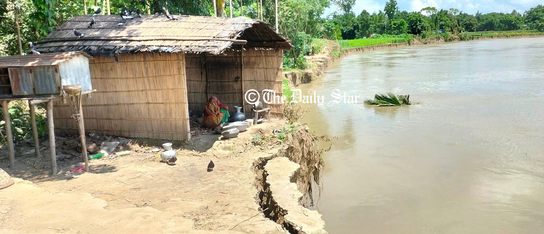 ধলেশ্বরীতে ভাঙন, সাটুরিয়ায় ঝুঁকিতে শতাধিক পরিবার