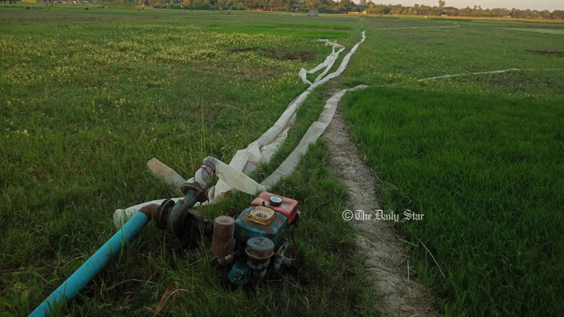 আমন নিয়ে সংশয়ে কৃষক