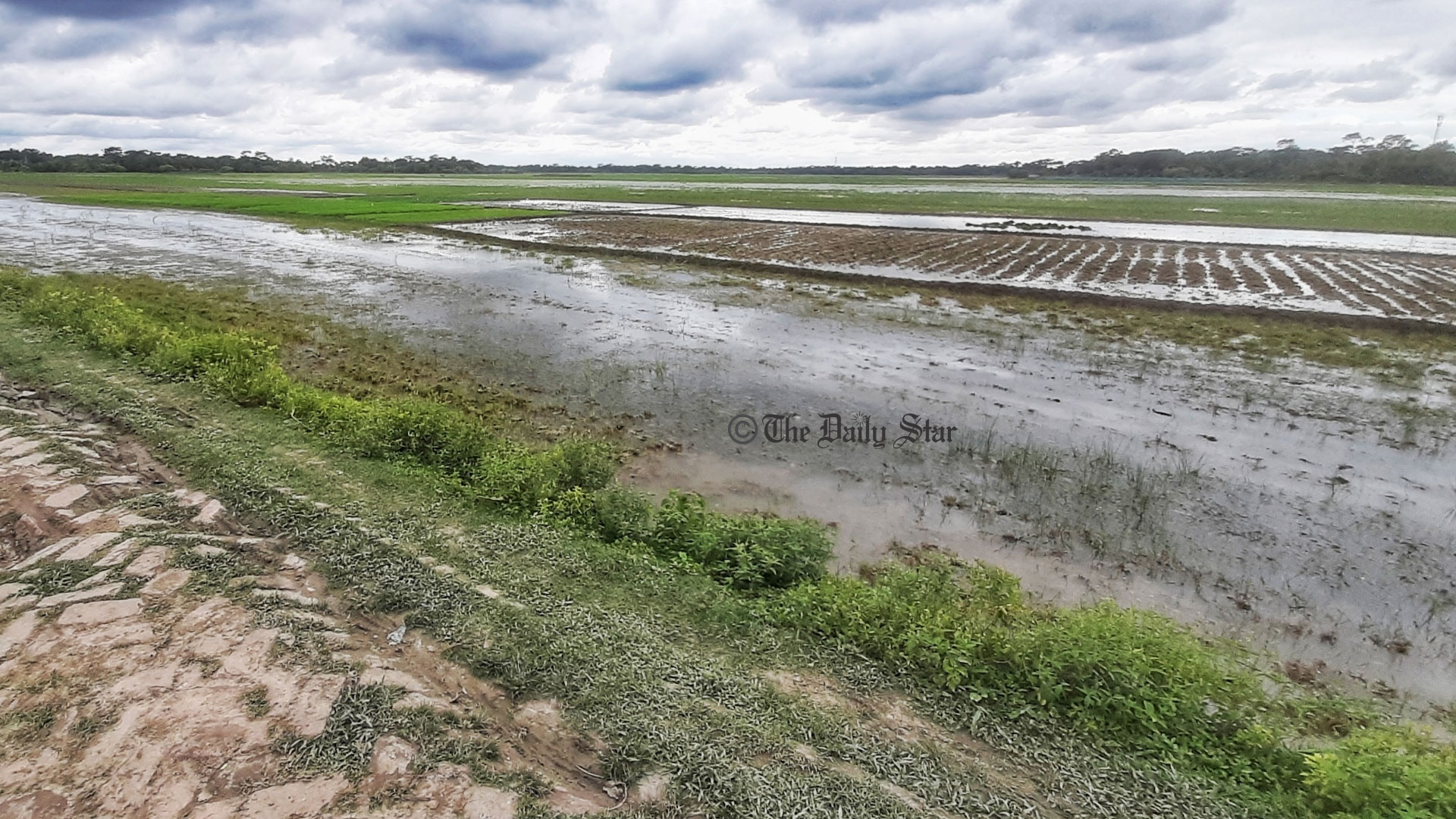পশুর নদী খননের বালি থেকে ৩০০ একর কৃষিজমি রক্ষার দাবি