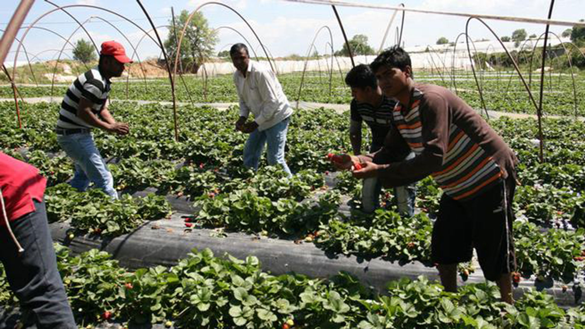 গ্রিসে বৈধতার সুযোগ পাবেন আরও ‘১৫ হাজার’ বাংলাদেশি