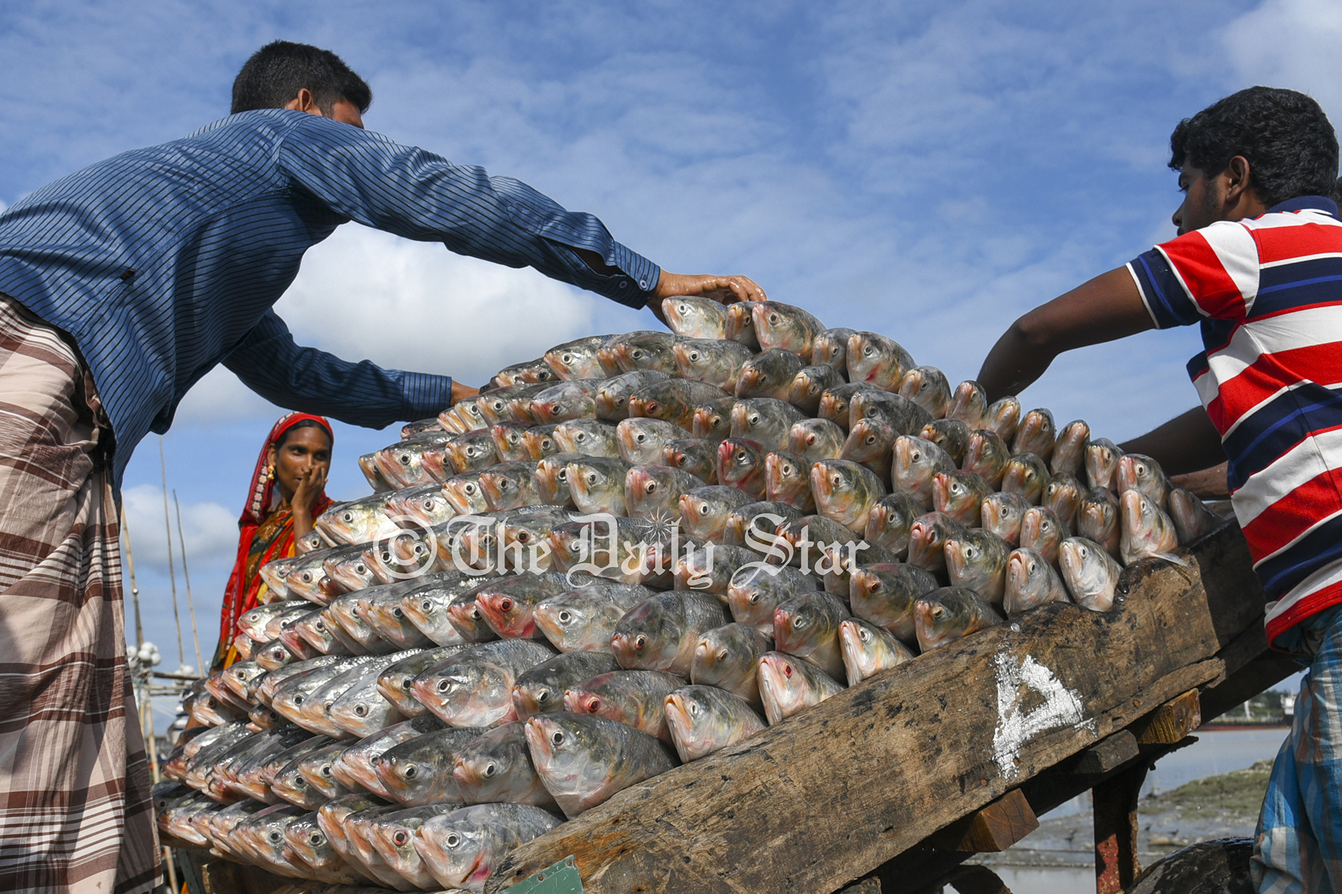 দুর্গাপূজায় ভারতে ইলিশ রপ্তানির আবেদন বাণিজ্য মন্ত্রণালয়ে