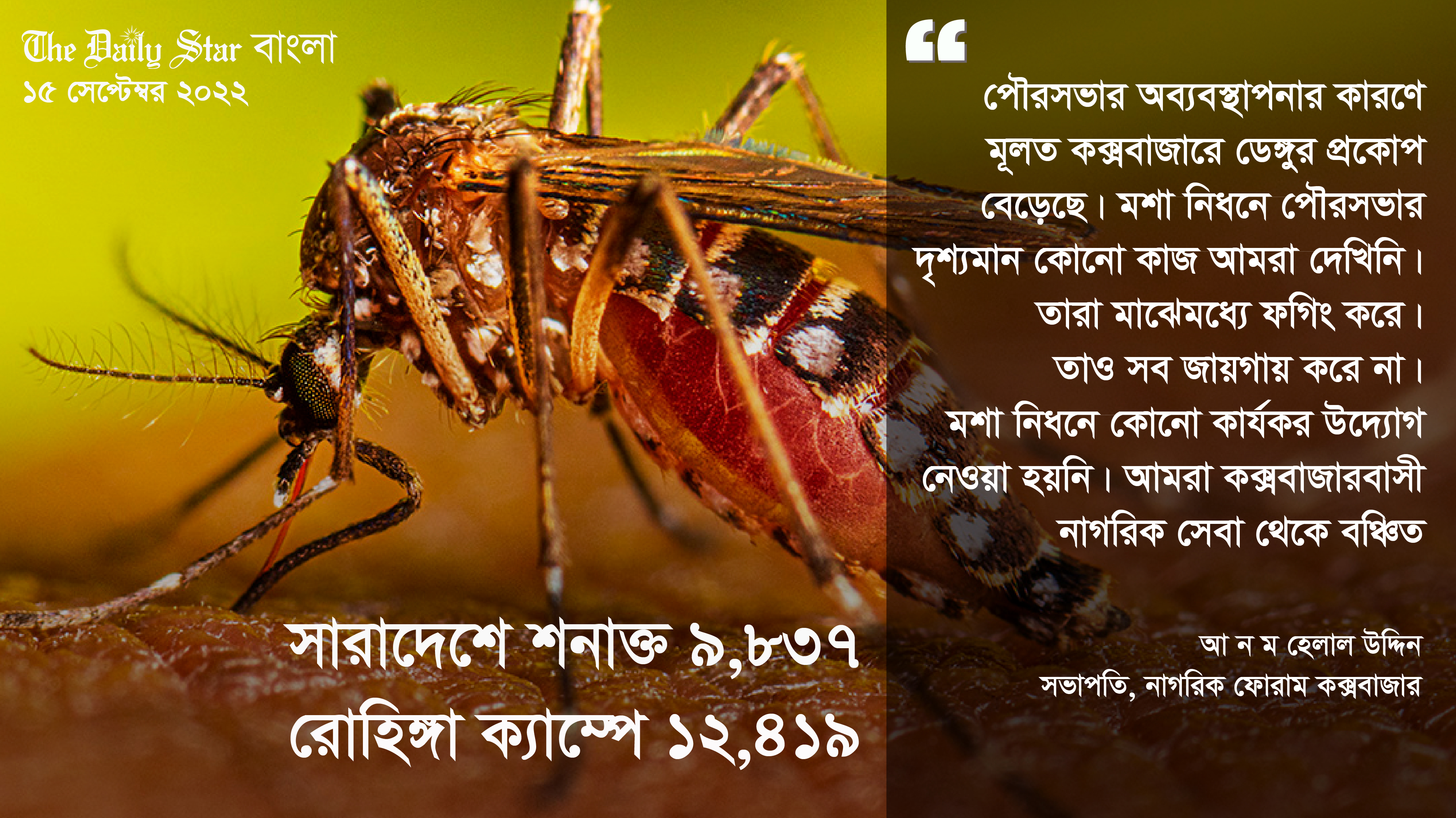 সারাদেশের চেয়ে শুধু রোহিঙ্গা ক্যাম্পেই ডেঙ্গু রোগীর সংখ্যা বেশি