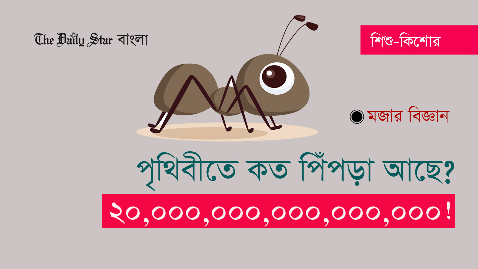 পৃথিবীতে কত পিঁপড়া আছে? ২০,০০০,০০০,০০০,০০০,০০০!