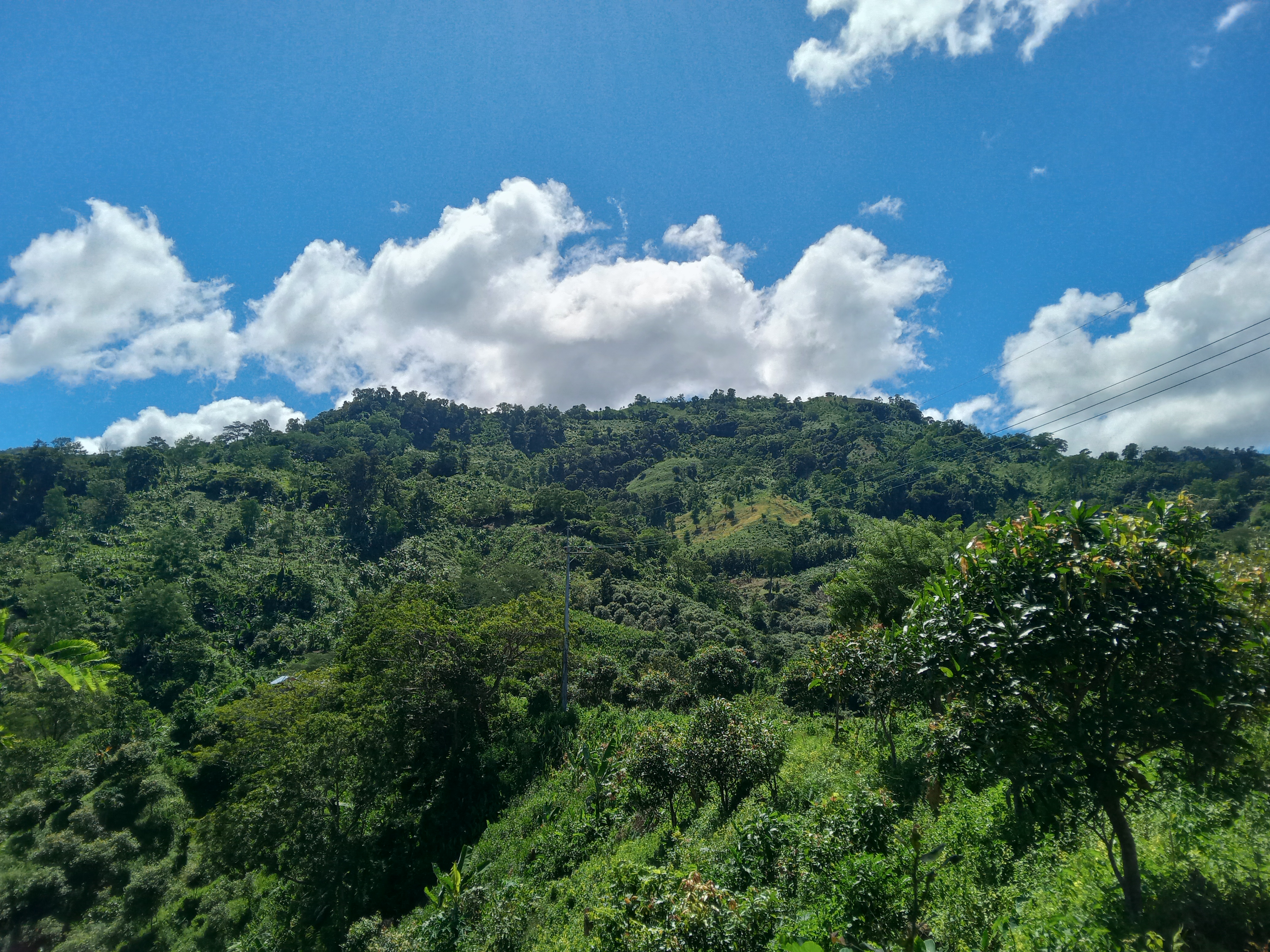 বিস্ফোরণের শব্দে কেঁপে উঠছে হোয়াইক্ষ্যং-তুমব্রু সীমান্ত