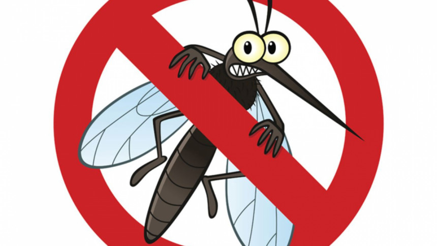 মশা তাড়ানোর প্রাকৃতিক উপায়