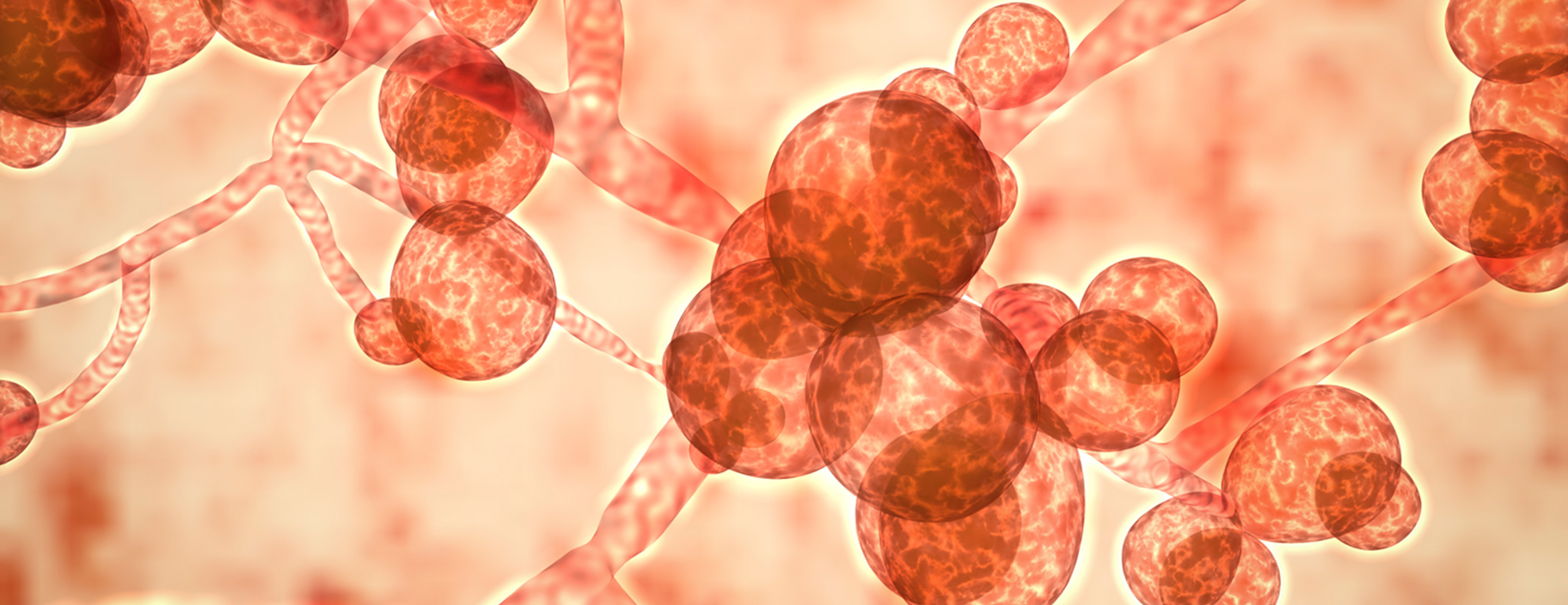 মানবদেহের জন্য ভয়ংকর হতে পারে যে ৪টি ছত্রাক সংক্রমণ