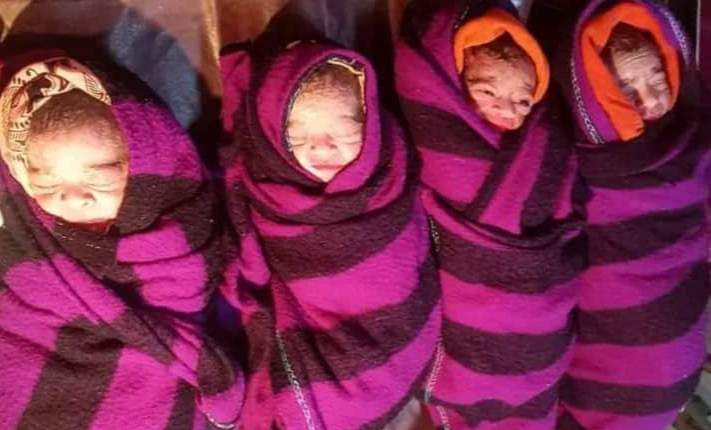 জামালপুরে একসঙ্গে ৪ সন্তানের জন্ম