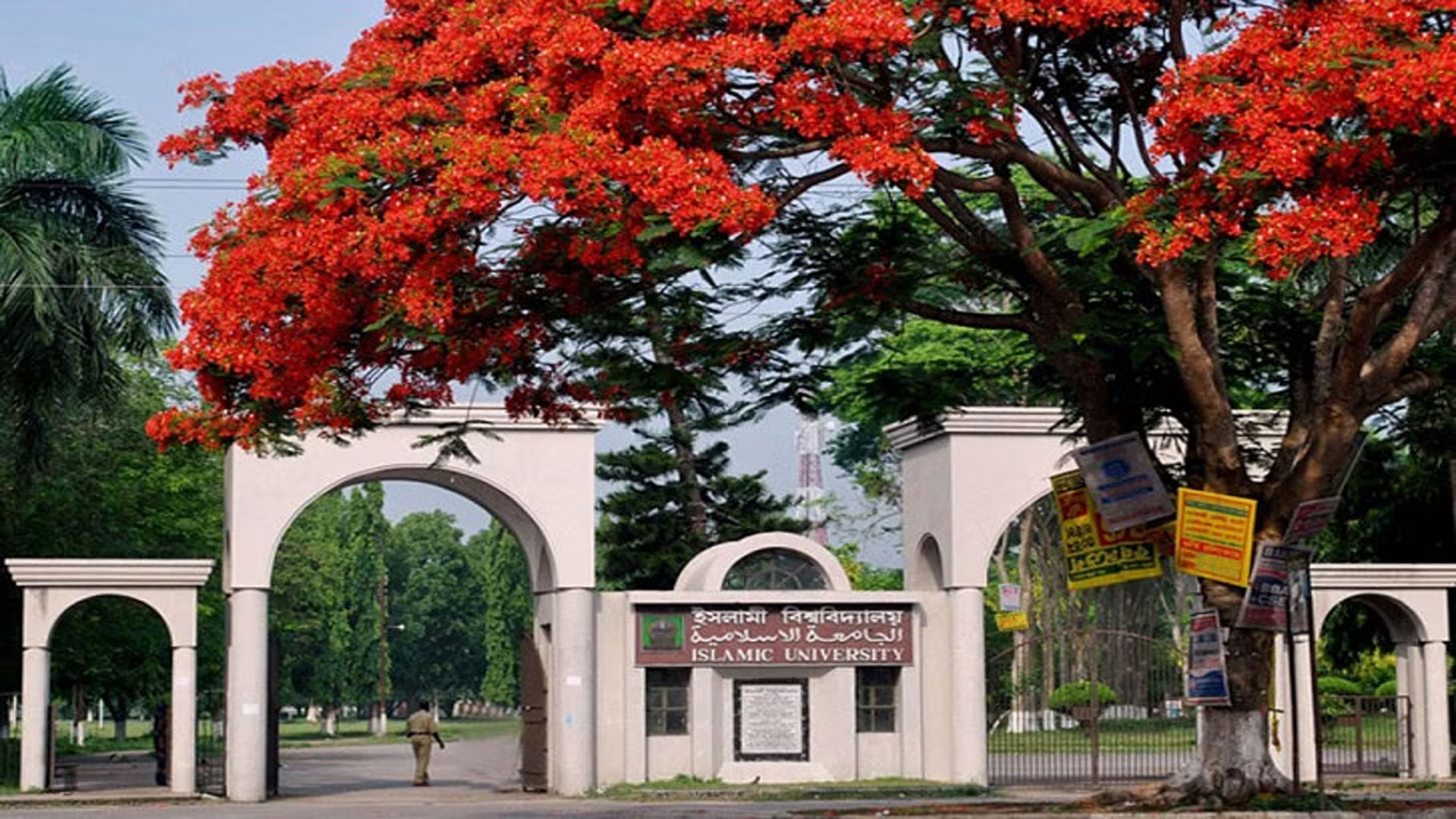 তদন্ত কমিটির কাছে বক্তব্য দিলো হলের শিক্ষার্থী, শিক্ষক ও কর্মকর্তারা