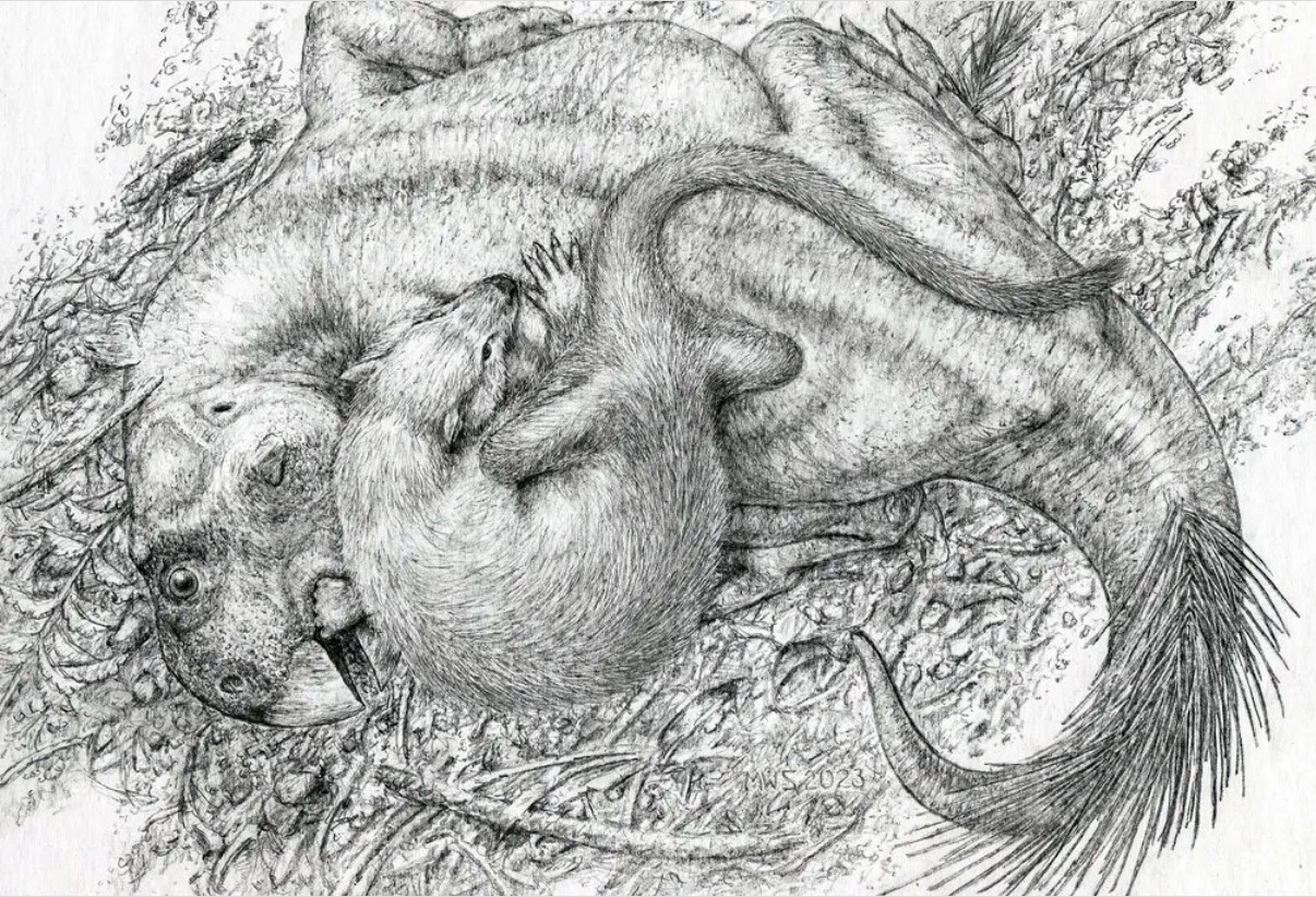 চীনে লড়াইরত ডাইনোসর ও স্তন্যপায়ী প্রাণির জীবাশ্ম উদ্ধার