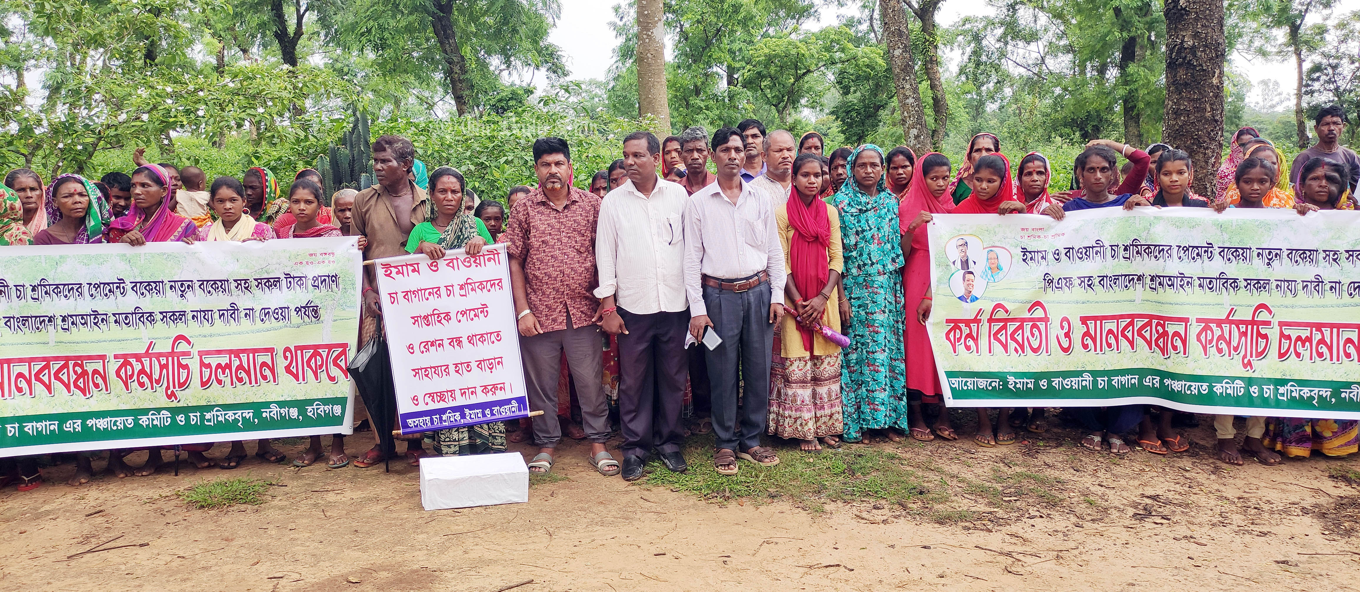 ২ চা বাগানে ৪ বছর ধরে বকেয়া মজুরি পাচ্ছেন না ৩৬০ শ্রমিক