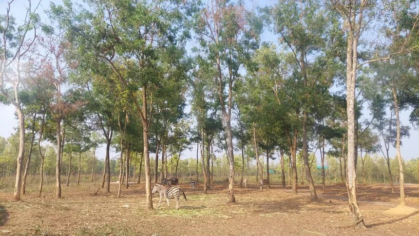 ঘুরে আসুন গাজীপুরের এই ৫ স্থান