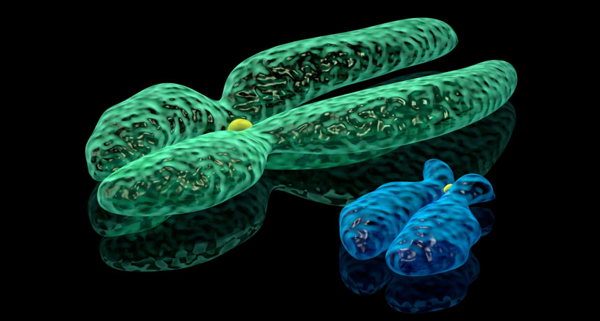 ওয়াই ক্রোমোজম নিয়ে নতুন গবেষণা, উপকৃত হতে পারেন বন্ধ্যা পুরুষ