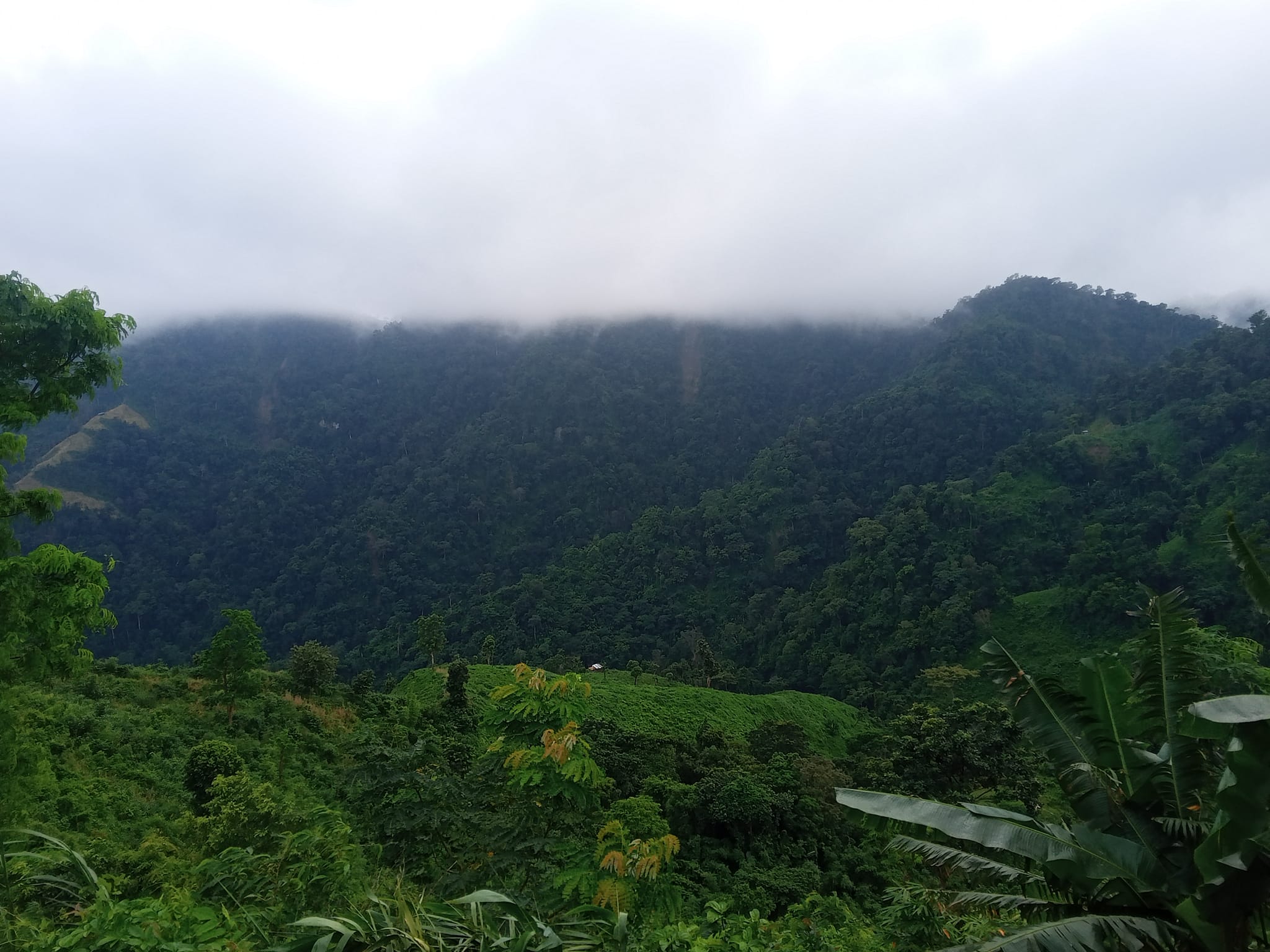 শান্তি কমিটির সঙ্গে মুখোমুখি বৈঠকে রাজি কেএনএফ