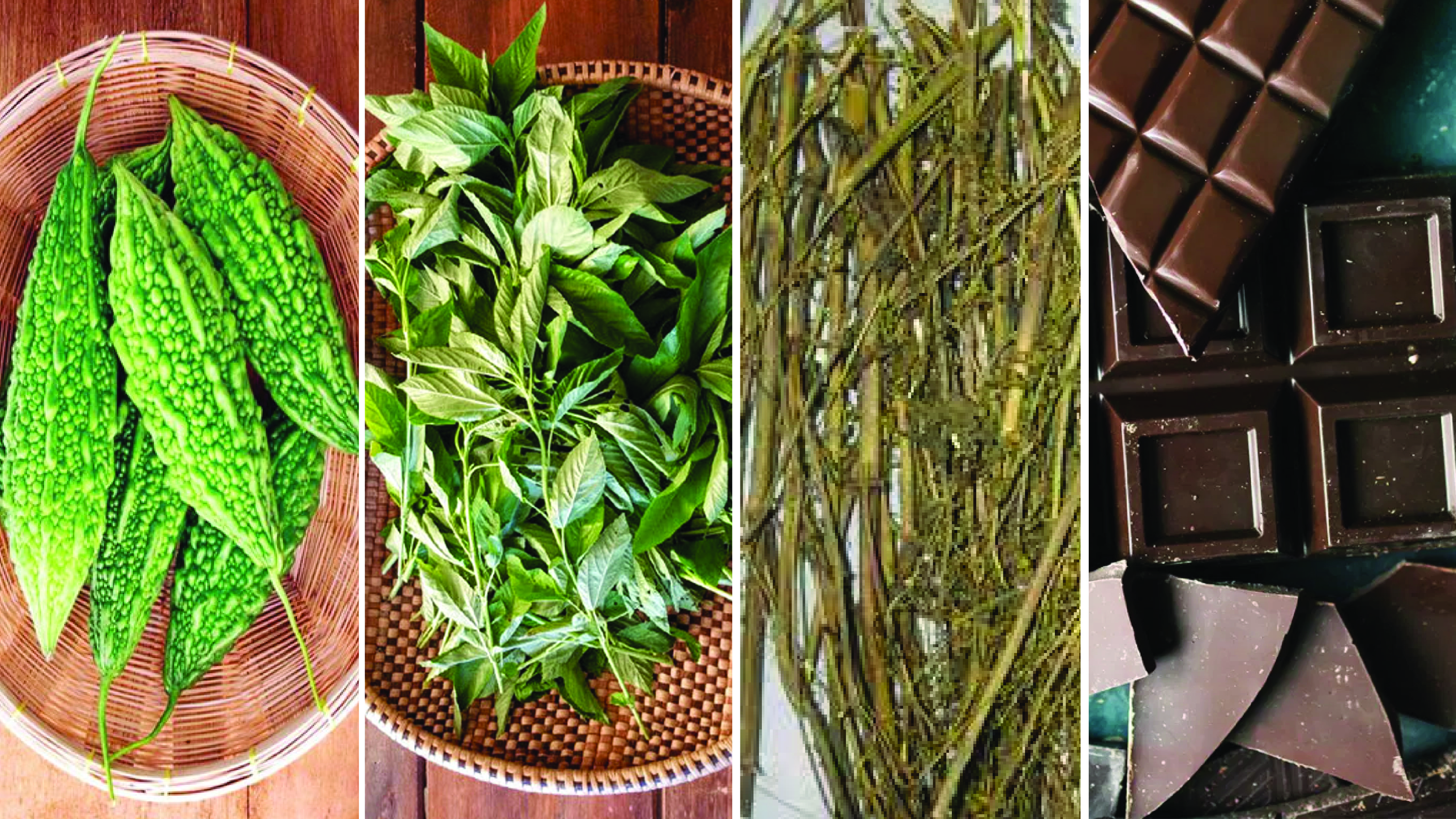 তিতা খাবারের অনেক গুণ, সত্যি নাকি মিথ