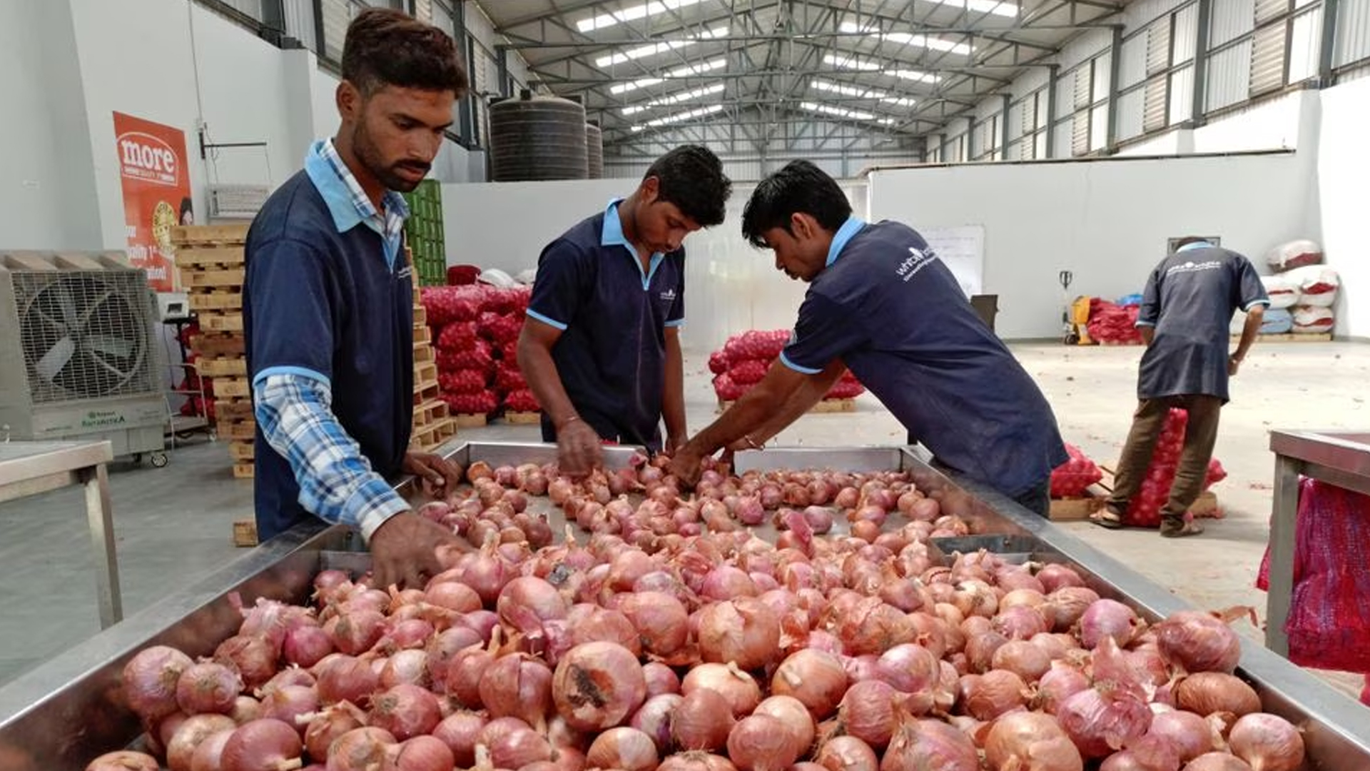 পেঁয়াজের ন্যূনতম রপ্তানি মূল্য নির্ধারণ করল ভারত