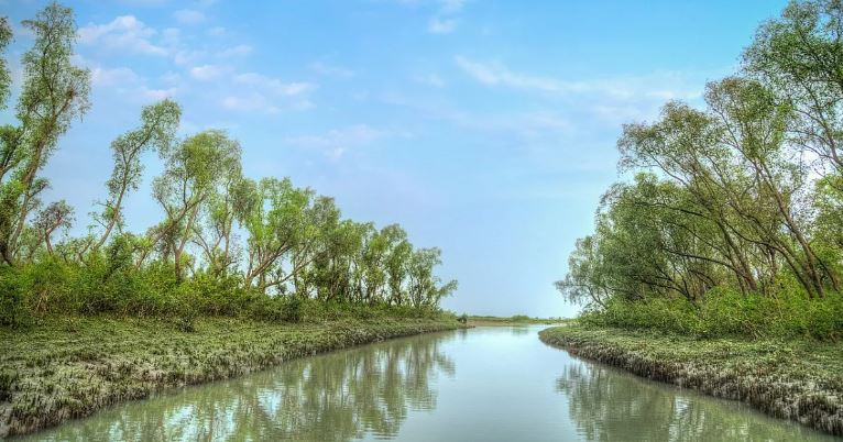 নিঝুম দ্বীপ: কীভাবে যাবেন, কোথায় থাকবেন, খরচ কত