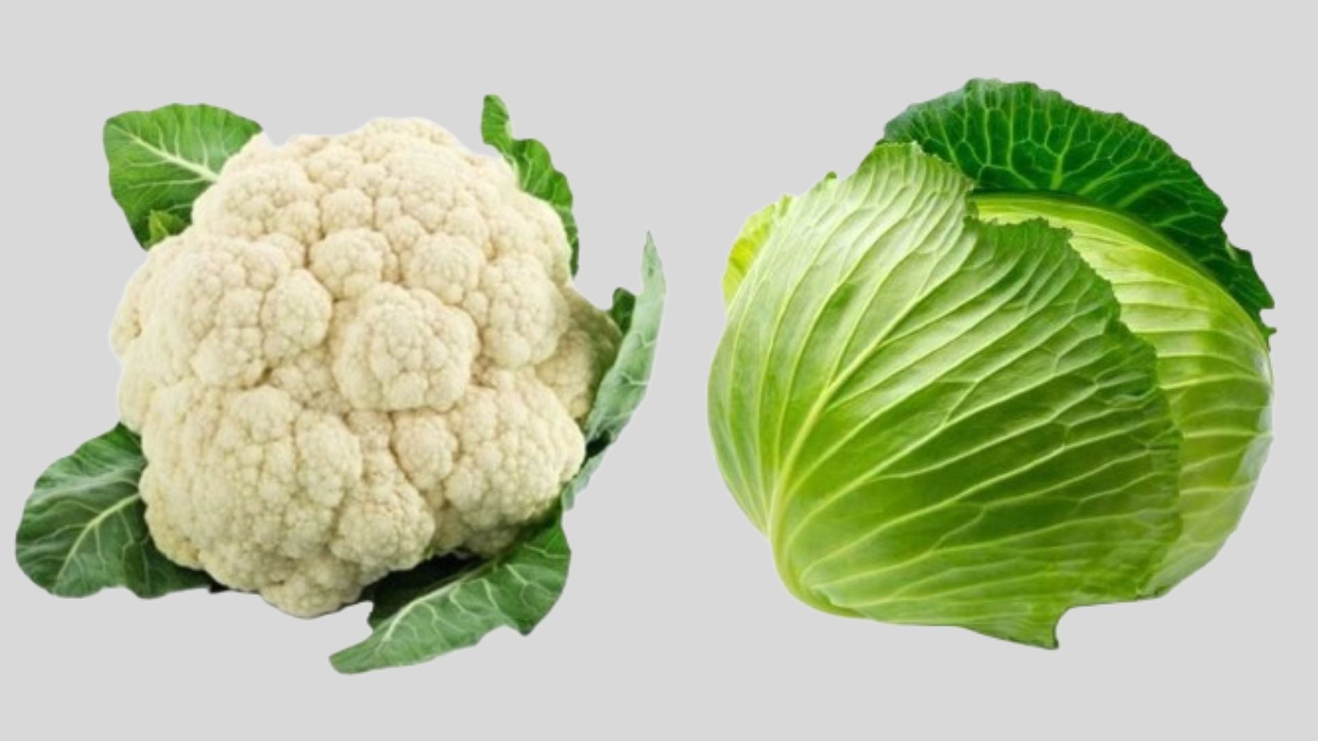 ফুলকপি নাকি বাঁধাকপি