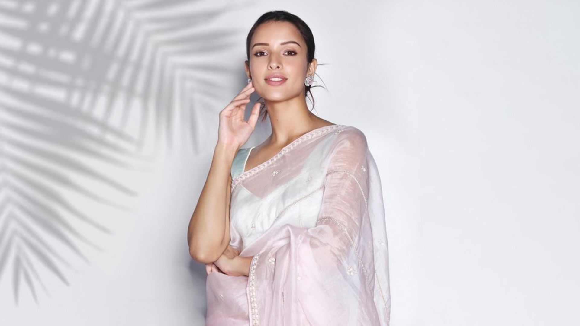 ‘ভারতের জাতীয় ক্রাশ’ কে এই তৃপ্তি দিমরি