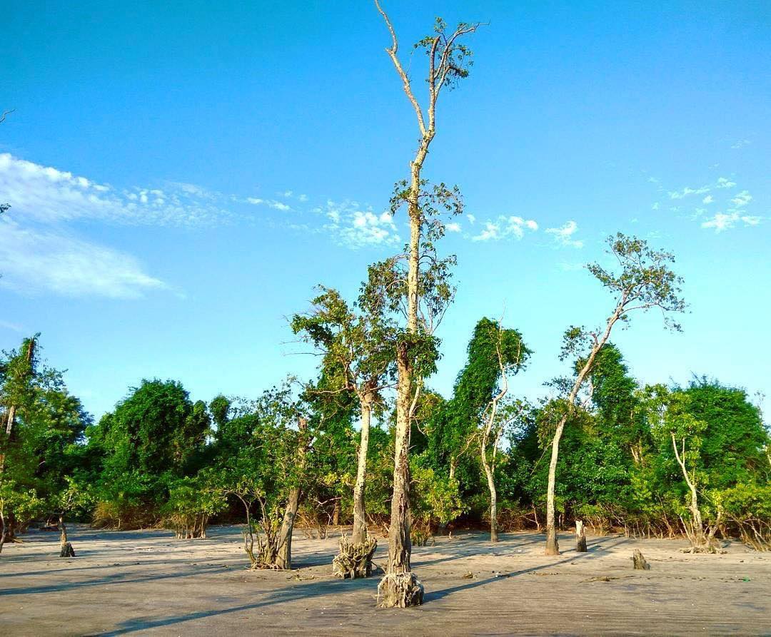 পটুয়াখালীর কোন কোন স্থান ঘুরে দেখবেন