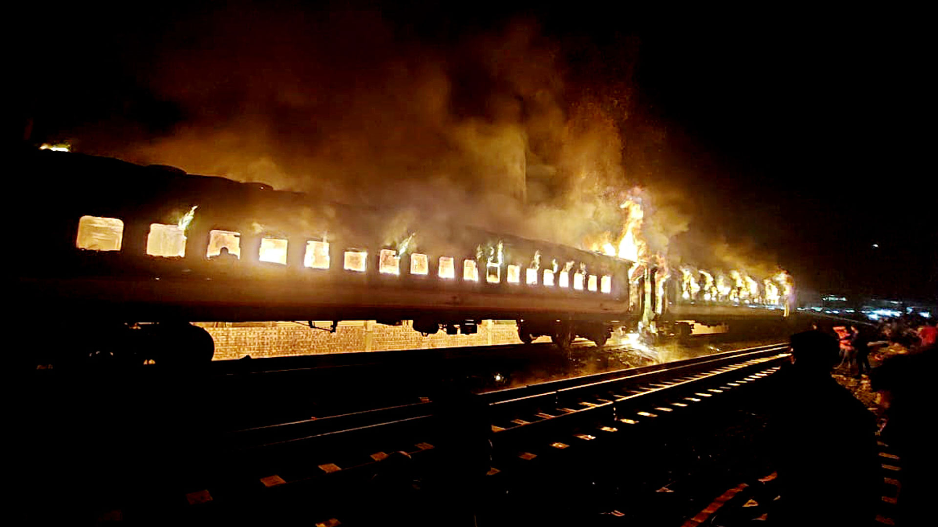 বনপোড়া হরিণীর দেশে এমন দৃশ্য দেখতে টিকিট লাগে না