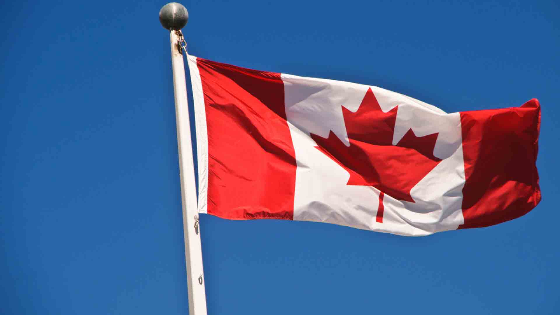 স্টুডেন্ট ভিসা ৩৫ শতাংশ কমানোর ঘোষণা কানাডার