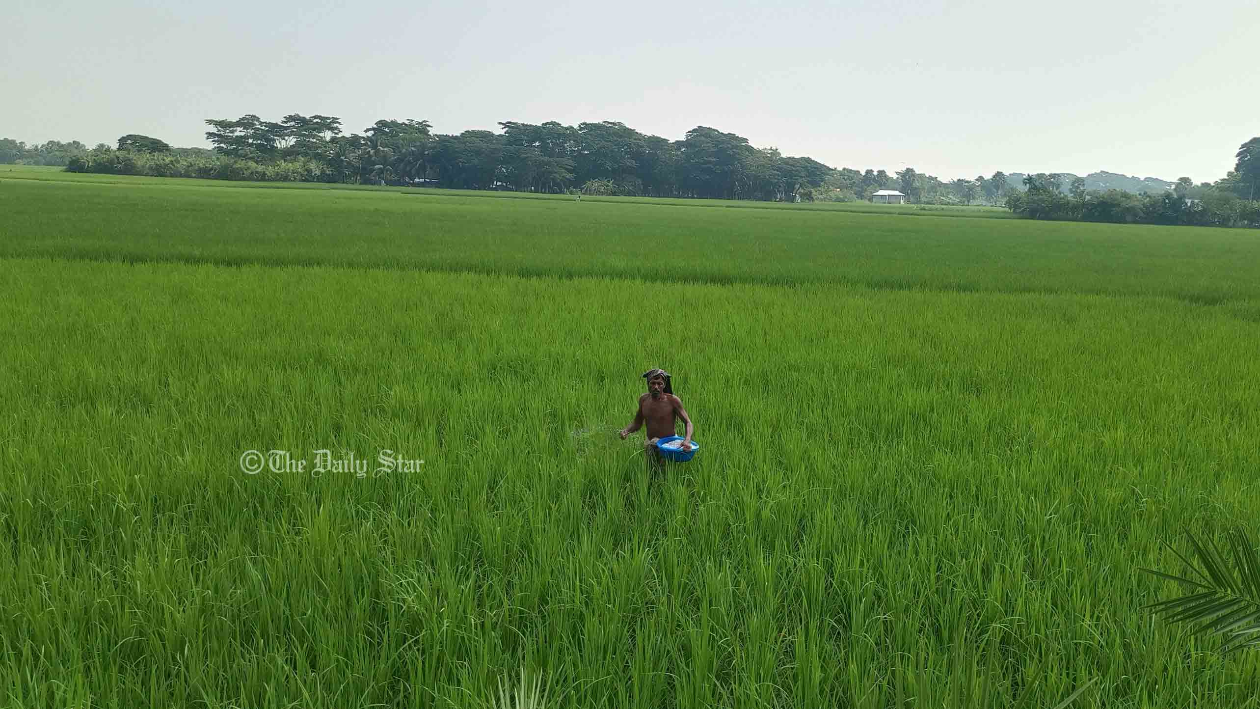 পটুয়াখালীতে ১০ বছরে কৃষিকাজ ছেড়েছে ৪০ হাজার পরিবার