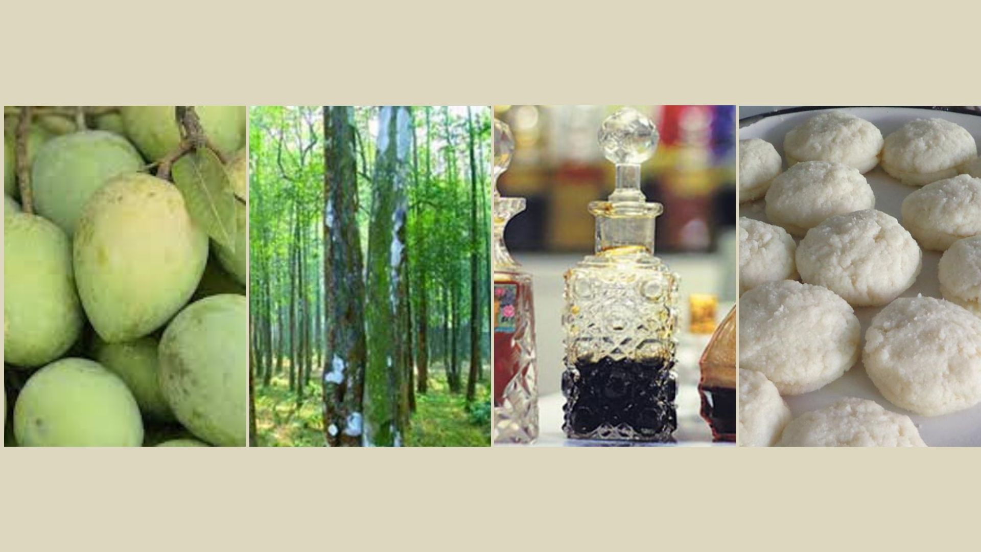 হাঁড়িভাঙ্গা আম ও মুক্তাগাছার মণ্ডাসহ ৪ পণ্যের জিআই জার্নাল প্রকাশ