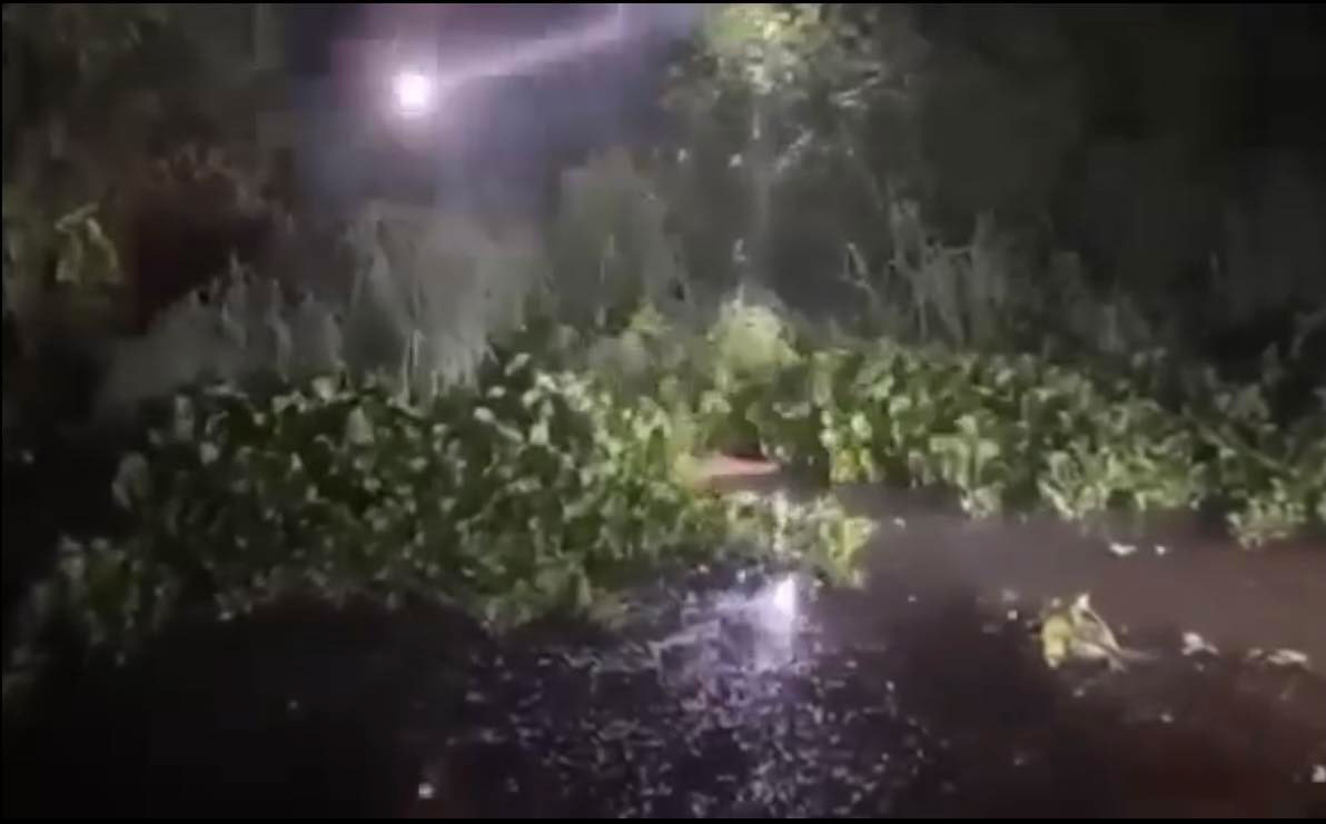 সোনারগাঁয়ে ‘ডাকাত সন্দেহে’ গণপিটুনিতে নিহত ৪, আহত ১