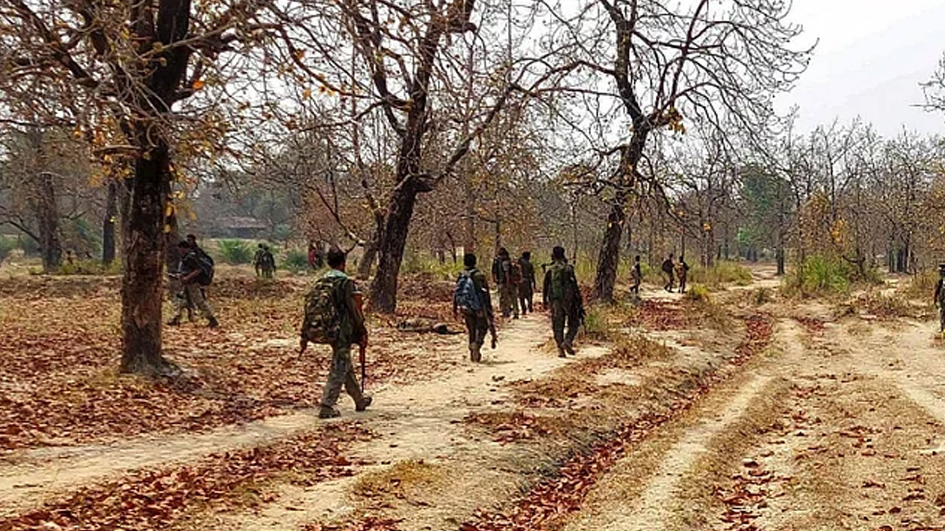 মাওবাদবিরোধী যুদ্ধে কতটা এগোলো ভারত?