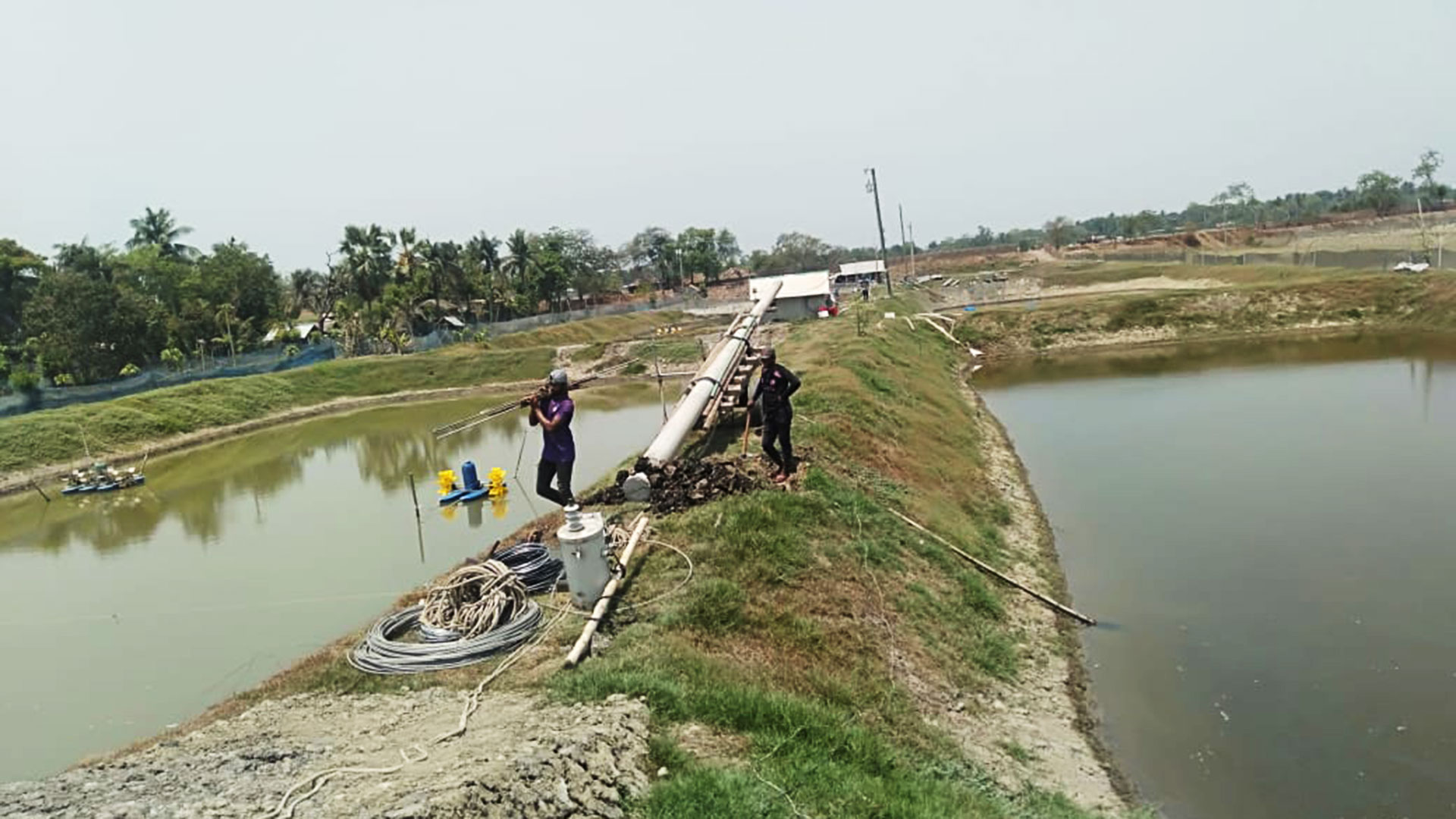 খুলনায় তীব্র গরম: লোকসানে তিন লাখ চিংড়ি চাষি