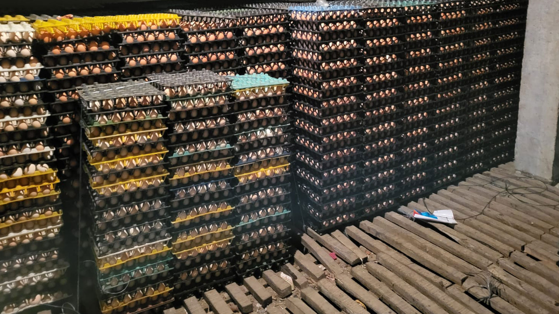 বগুড়ায় ৫ লাখ ডিম হিমাগারে রেখে কৃত্রিম সংকট তৈরি, ২০ হাজার টাকা জরিমানা