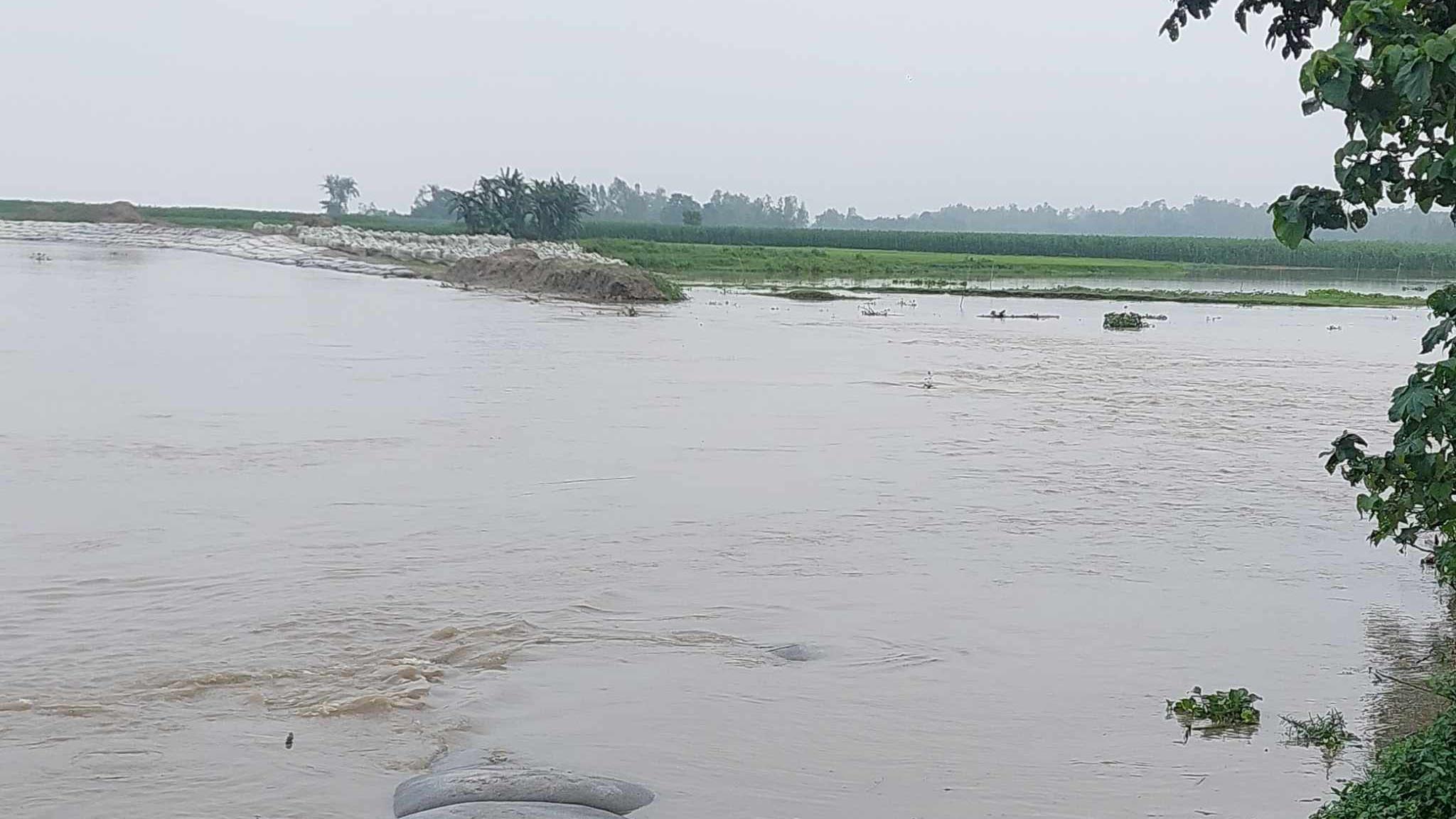 গাইবান্ধায় বিপৎসীমার ওপরে যমুনা, বন্যার আশঙ্কা