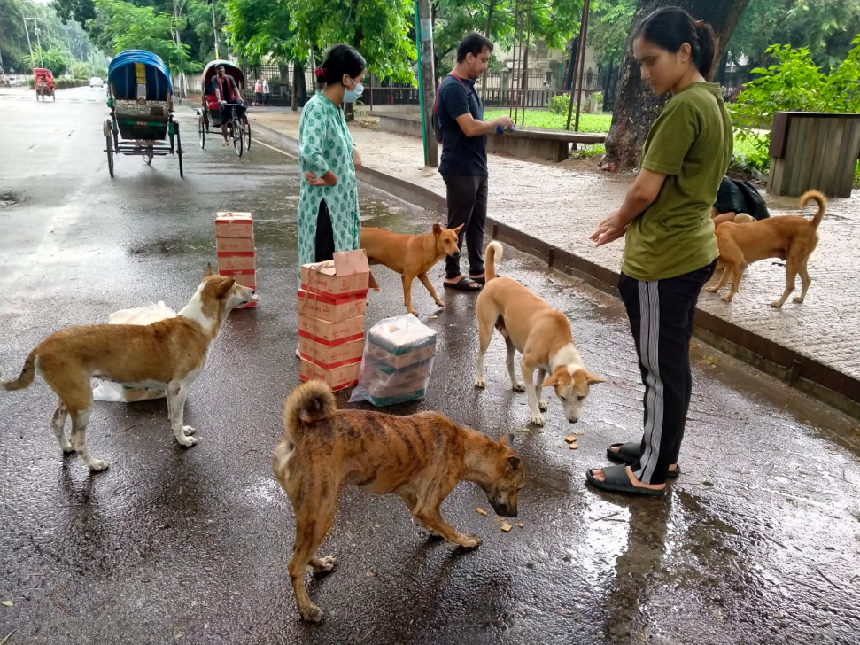 ‘কিকো’ ও তার বন্ধুরা যেভাবে আন্দোলনের অংশ হয়ে উঠল
