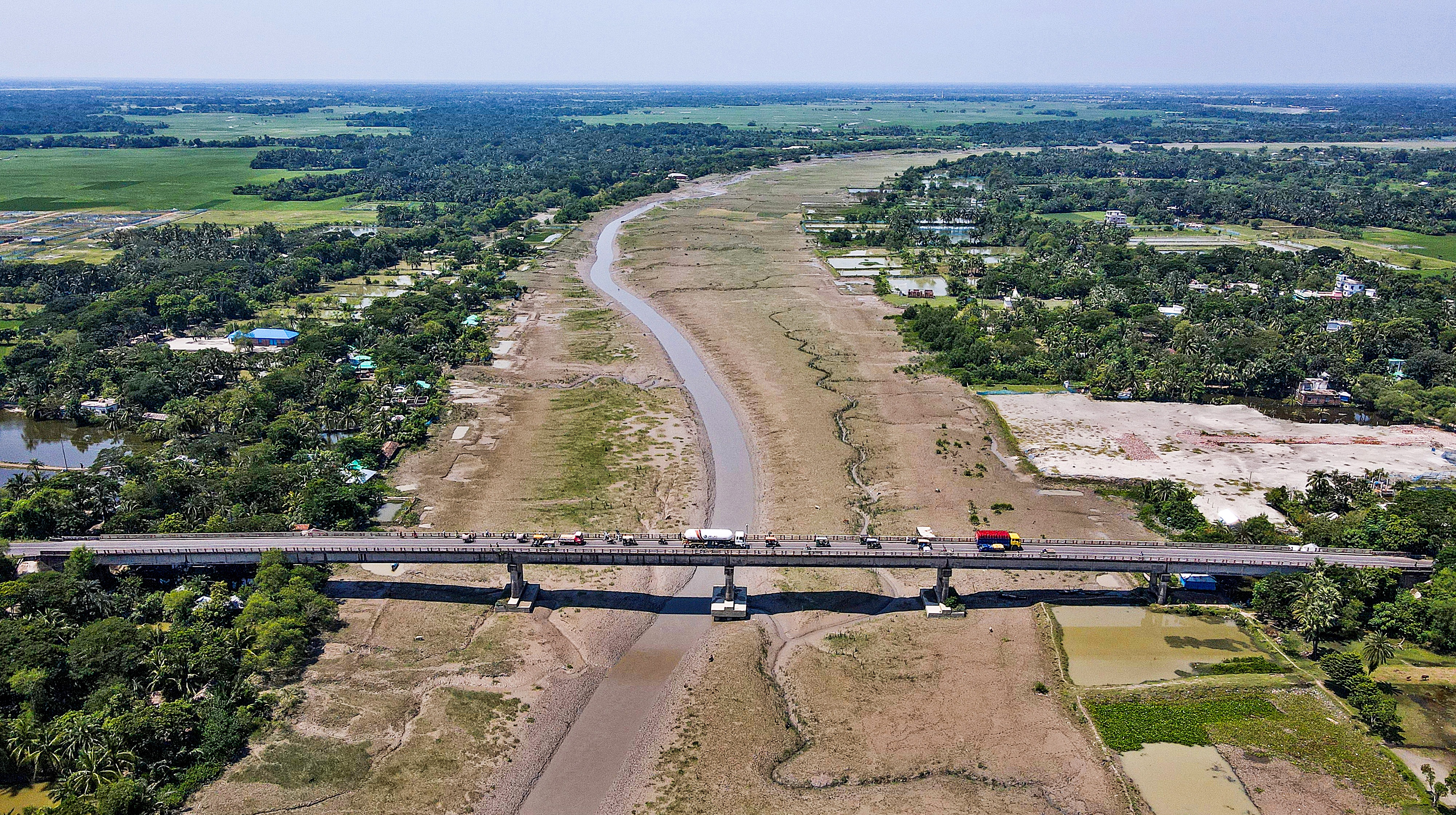 জীবনদায়ী শোলমারীর প্রাণ বাঁচানোই দায়