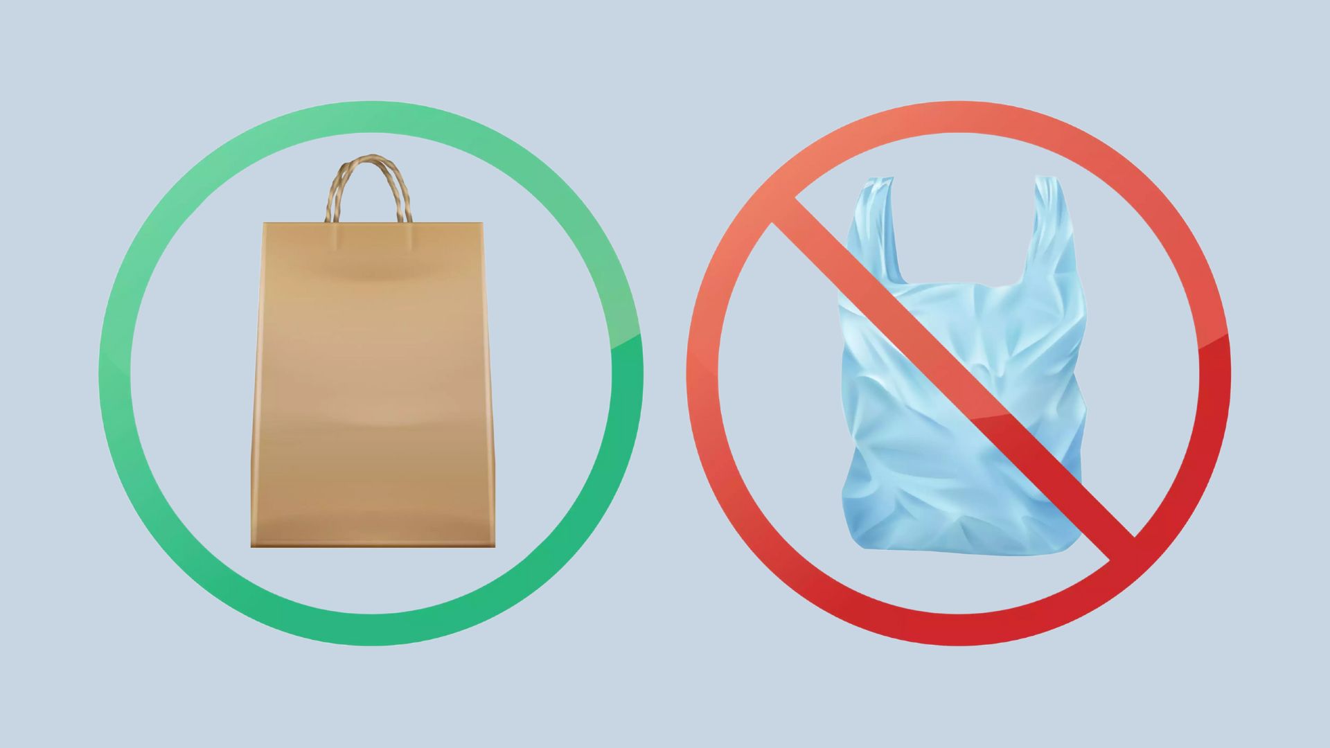 পলিথিন বা প্লাস্টিক শপিং ব্যাগ কেন নিষিদ্ধ করা উচিত, বিকল্প কী