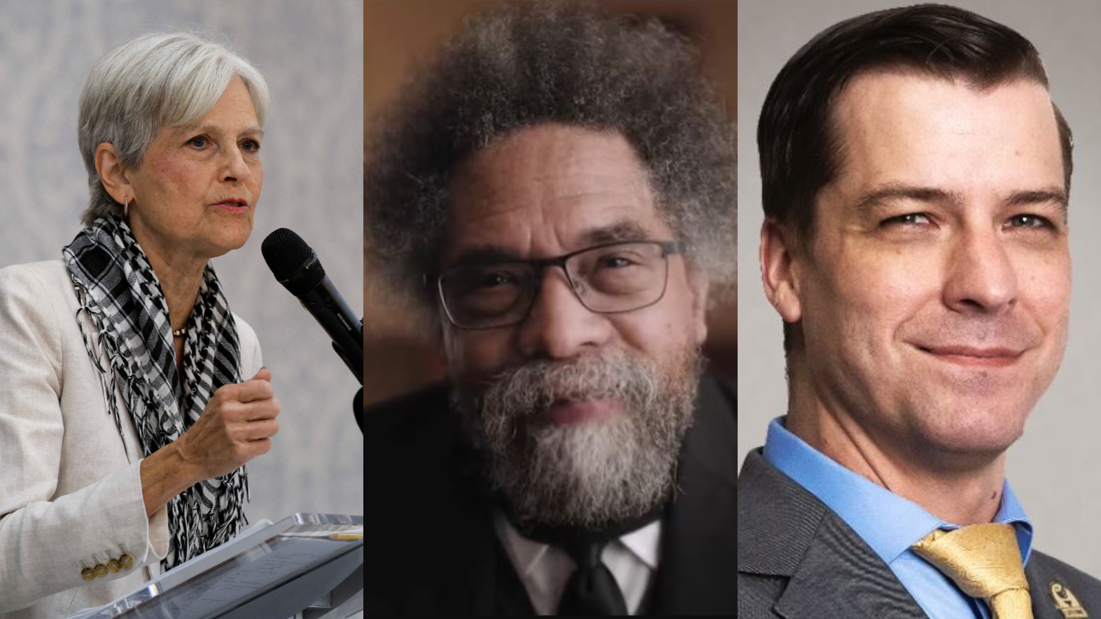 স্টেইন, অলিভার, ওয়েস্ট: মার্কিন নির্বাচনের ‘তৃতীয় শক্তি’