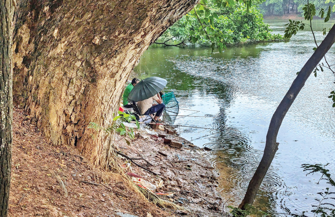 খাওয়া ছাড়াও ধানমন্ডিতে সময় কাটানোর আরও যত উপায়