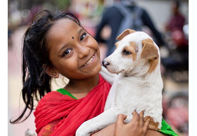শীতকালে পথের কুকুর-বিড়ালকে উষ্ণ রাখার উপায়